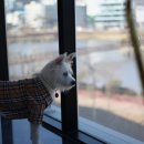 리츠펫 서산호수공원점 이미지