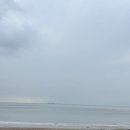 곰소꽃게장 | [부안 맛집] 곰소꽃게장 (꽃게장 세트) 내돈내산 후기