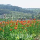 런여행사주 이미지