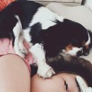 엘리네집 이미지