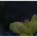 도화동천펜션 이미지