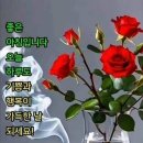 좋은사람 이미지