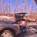 푸드르르 이미지