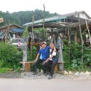 샤인벨리 이미지