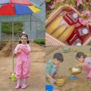 대관령안개자니영농조합법인 | 강원도 평창 아이랑 가볼만한곳 주말 팜크닉 오대산힐링빌리지
