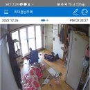 킴스동물병원 이미지