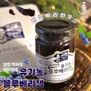 엉클베리하우스 블루베리잼, 달지않은 건맛한 맛으로 즐기는 유기농 잼
