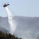 2602 이미지