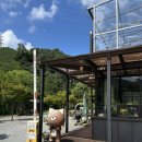 캠핑소리251 | 애견동반 가평 캠핑장 :: 캠핑소리 251 솔직후기 + 가평 애견동반 식당 :: 가평 쭈꾸미