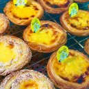 리틀포레 이미지