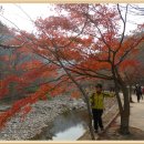 ♧전북 정읍시 내장동[내장산](높이 763m)^^♧1편 (한길산악회) 이미지
