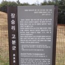 장승리 고분군 이미지