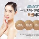 골드지의원
