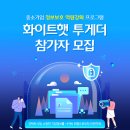 더네트웍스