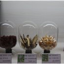 수유늘찬한의원 이미지