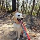 리버하우스 이미지