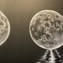 제우스 전기통닭 | [수원금곡동맛집/호매실동치킨추천/금곡동치킨]제우스전기통닭- 금곡동 바베큐 치킨 맛집 분위기 좋은...