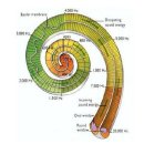 와우히어링 이미지