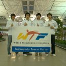 신성동아태권도 이미지