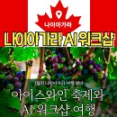 매월카도우미 | [공지] 나이아가라 현지 여행작가의 1월의 테마 여행 아이스와인축제와 AI 워크숍