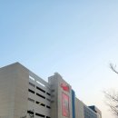 아웃백스테이크하우스 명지스타필드점 | 주말 아이와 가볼 만한 곳 스타필드 시티 명지 완벽 가이드 층별 꿀팁 쇼핑맛집