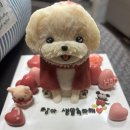 투베이크(to bake) 이미지