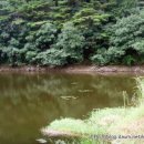 덕송2로 이미지