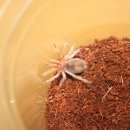 헤어로즈 이미지