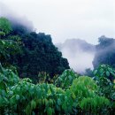 광진예치과병원 이미지