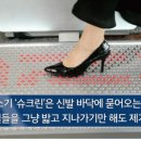 양북초등학교 이미지