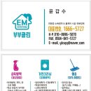 모텔오즈의마법사 이미지