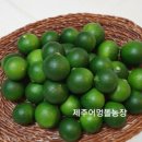 제주어멍농장 이미지