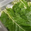 유가약선 이미지