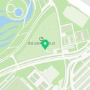 국제파크골프용품 이미지