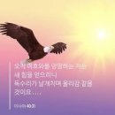 날개 - 수원시 팔달구 정조로 800-4 | 날개