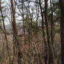 불국초등학교 이미지