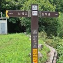 심적유원지 이미지