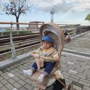 달그미 | 휴대용유모차 에이블 코지 프리미엄 트라이크 내돈내산 후기(꼭 보세요!)