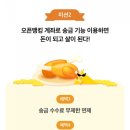 골드메이트 이미지