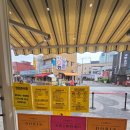 속초 중앙시장 맛집 도리스파티세리 에그타르트&amp;호두타르트 솔직후기