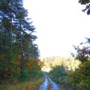 마암터마을 이미지