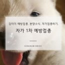 조암약국 | 강아지 1차 자가접종! 강아지분양완료!
