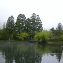 기린07-2 이미지