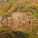 바닷길슈퍼 이미지