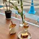 울산 남구 삼산 신상카페 코클렌커피 애견동반 가능