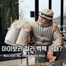 UR-[안말로]-상-3 | 대학생 가방 남자 직장인 백팩 추천 - 쌤소나이트 레드 자이언 컬렉션 식빵 백팩 추천