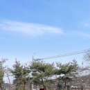 그대닮다 이미지