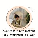 (주)카퍼스트 | 노바 트라이크 유모차 후기 5kg대 초경량·주행력 갑 휴대용 트라이크 추천