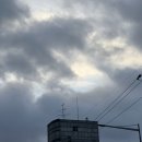 씨유(CU)청호황금어장점 | [고성_01] 서핑여행이라 적고 힐링여행이라 부른다 (22.07.01-07.02)