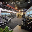 황바디짐 이미지